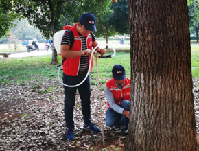 怎樣知道自己家里有沒(méi)有白蟻？