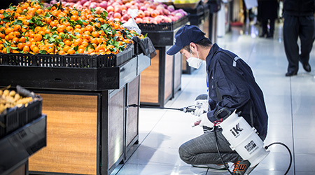 殺滅成蠅是怎么樣的？